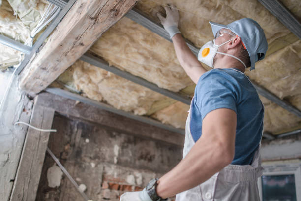 Types of Insulation We Offer in Bushnell, IL